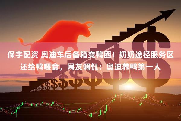 保宇配资 奥迪车后备箱变鸭圈！奶奶途径服务区还给鸭喂食，网友调侃：奥迪养鸭第一人