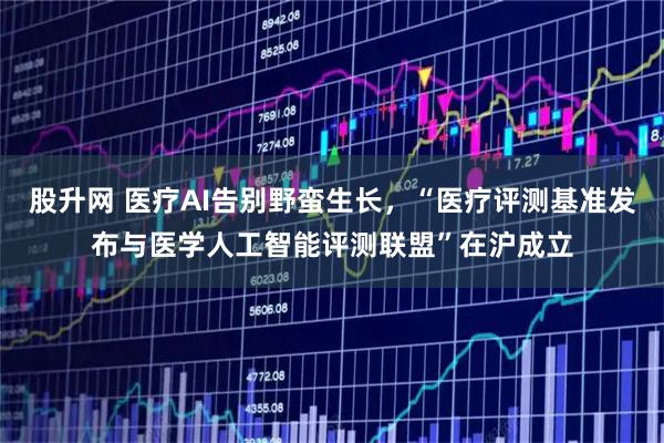 股升网 医疗AI告别野蛮生长，“医疗评测基准发布与医学人工智能评测联盟”在沪成立