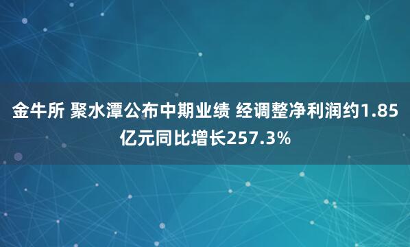 金牛所 聚水潭公布中期业绩 经调整净利润约1.85亿元同比增长257.3%